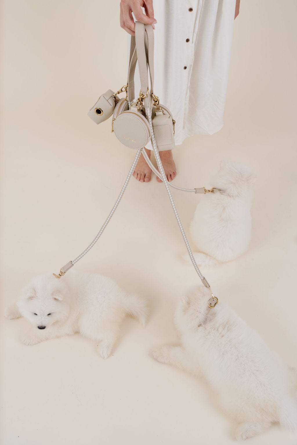City Walk Kit (wholesale) Dog Supplies Pupwell