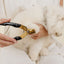 Rolled Collar (wholesale) Pupwell