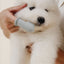 Puppy Breath Toothbrush (wholesale) Dog Supplies Pupwell