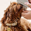 Detailer Comb (wholesale) Pupwell