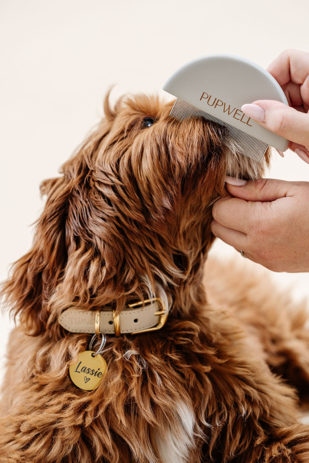 Detailer Comb (wholesale) Pupwell