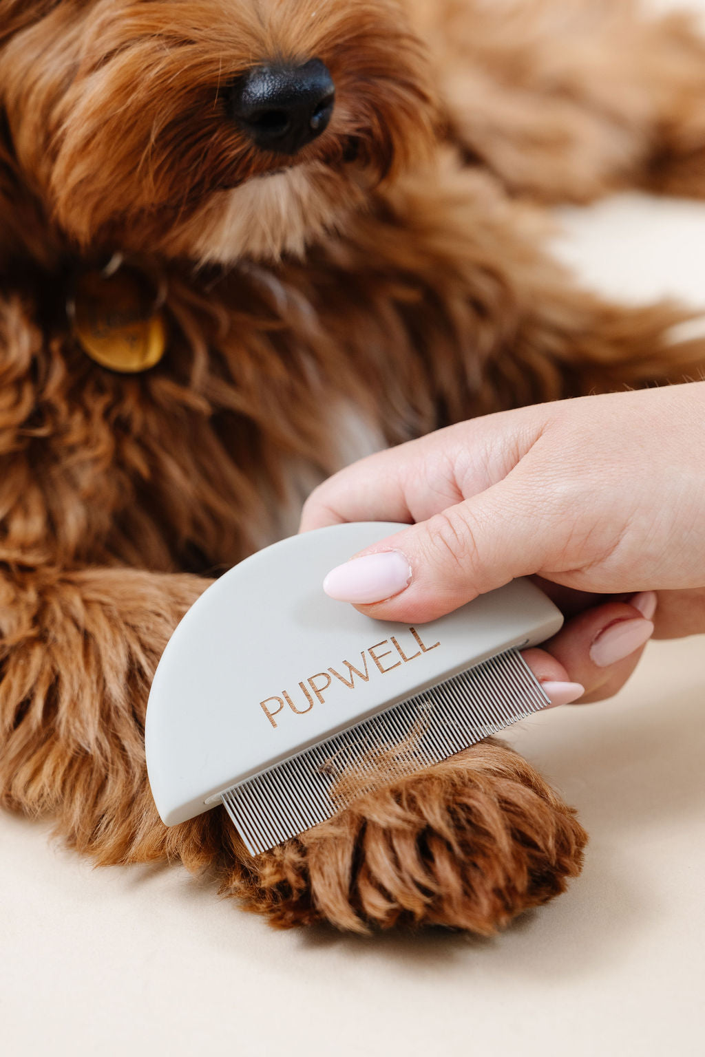 Detailer Comb (wholesale) Pupwell