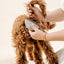 Detailer Comb (wholesale) Pupwell