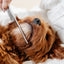 Everyday Comb (wholesale) Pupwell
