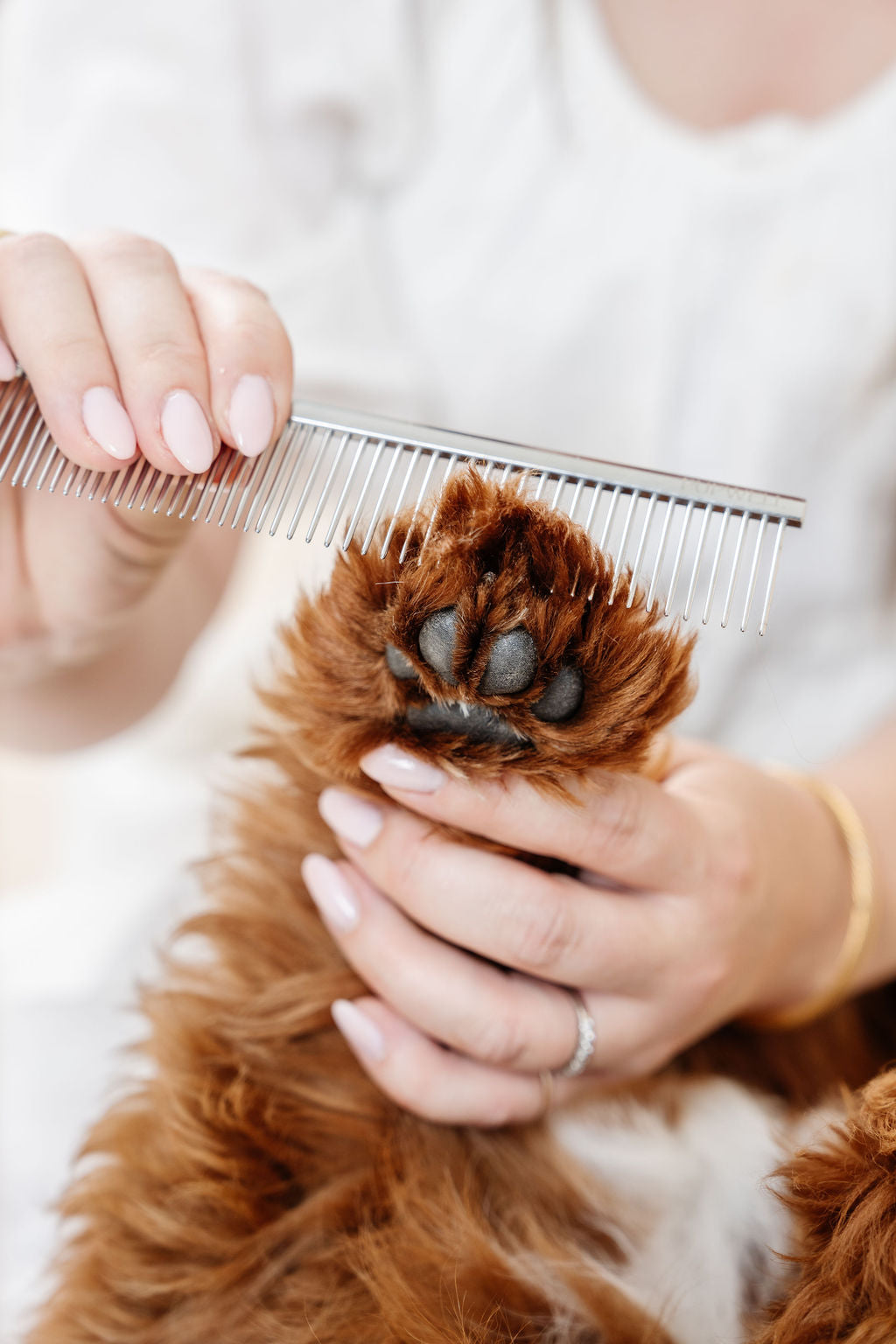 Everyday Comb (wholesale) Pupwell