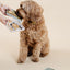Happy Feelings Lick Mat (wholesale) Dog Supplies Pupwell