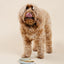 Happy Feelings Lick Mat (wholesale) Dog Supplies Pupwell