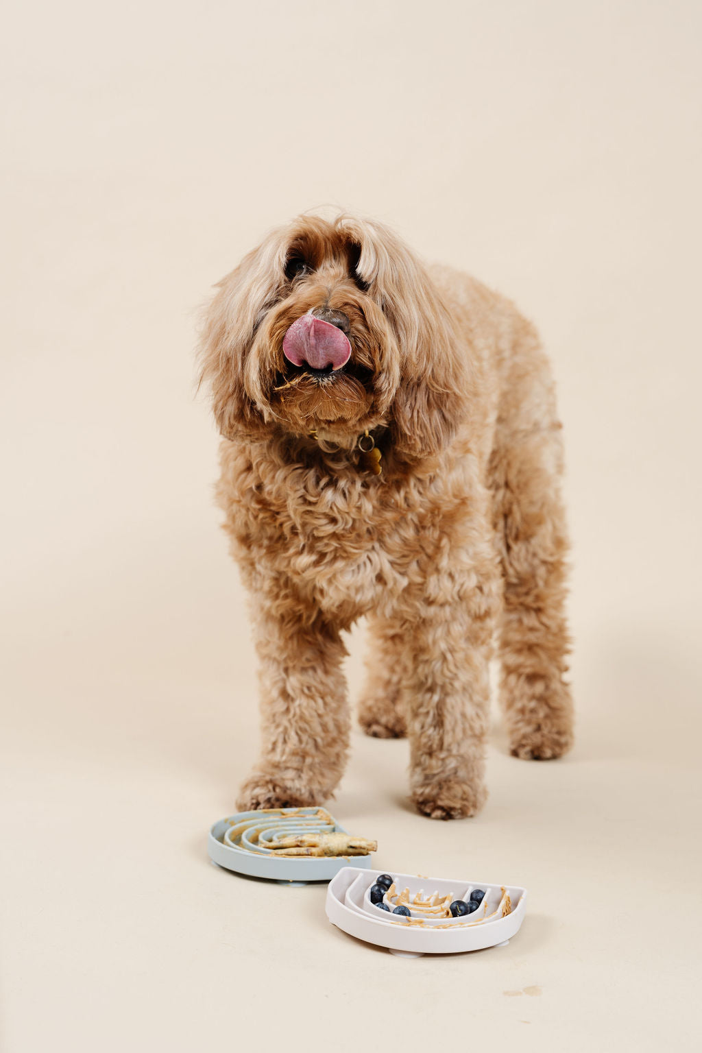 Happy Feelings Lick Mat (wholesale) Dog Supplies Pupwell