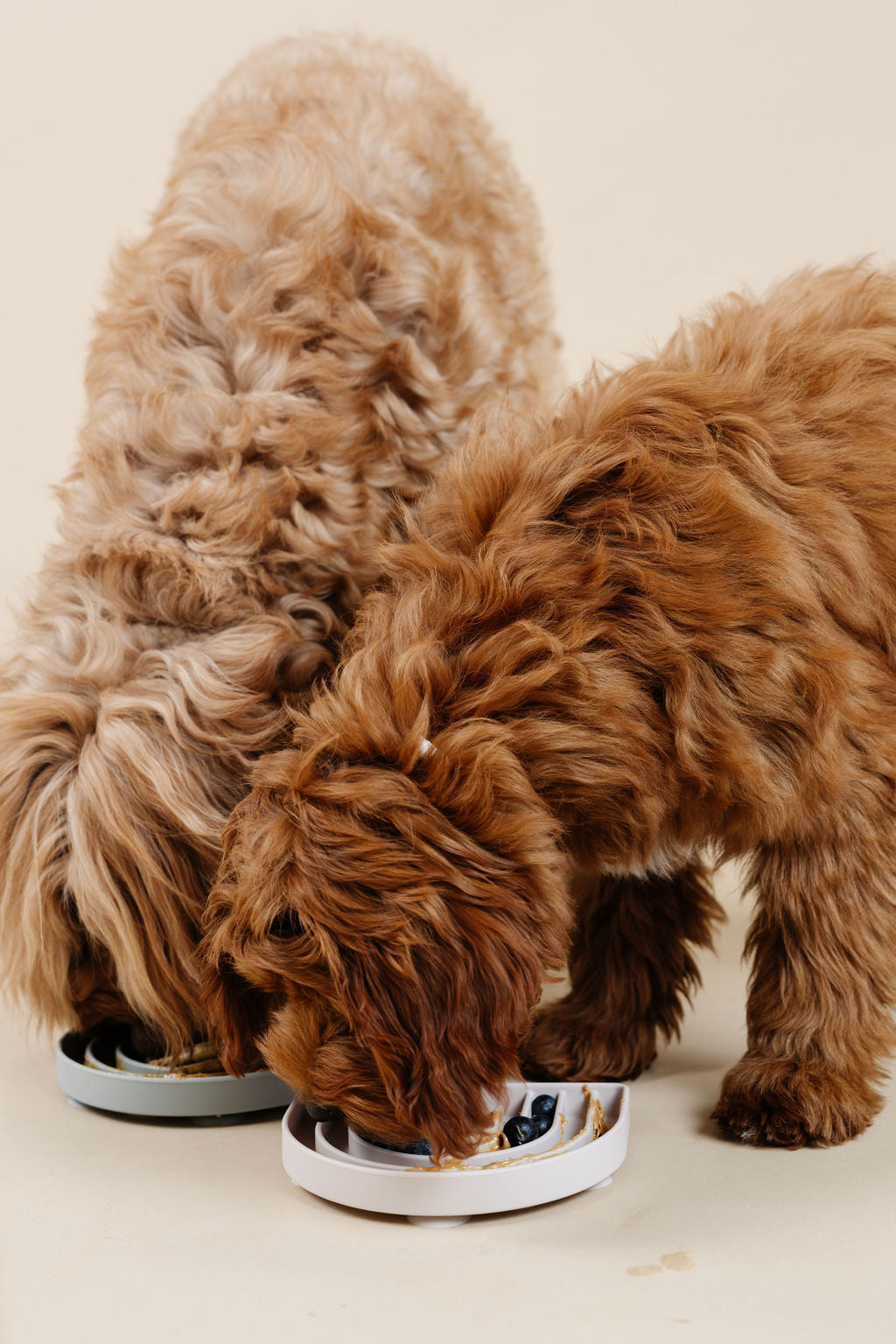 Happy Feelings Lick Mat (wholesale) Dog Supplies Pupwell
