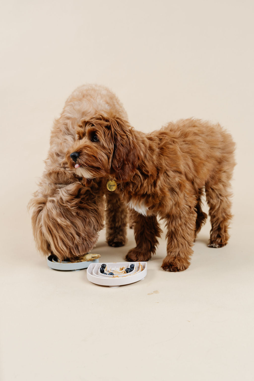 Happy Feelings Lick Mat (wholesale) Dog Supplies Pupwell
