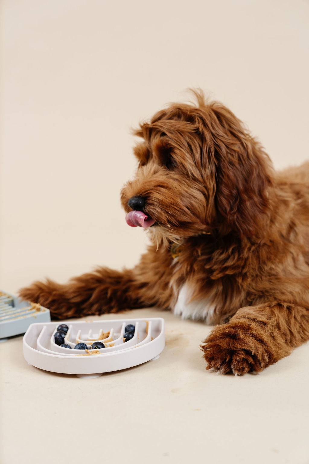 Happy Feelings Lick Mat (wholesale) Dog Supplies Pupwell