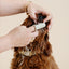 Puppy Breath Toothbrush (wholesale) Dog Supplies Pupwell