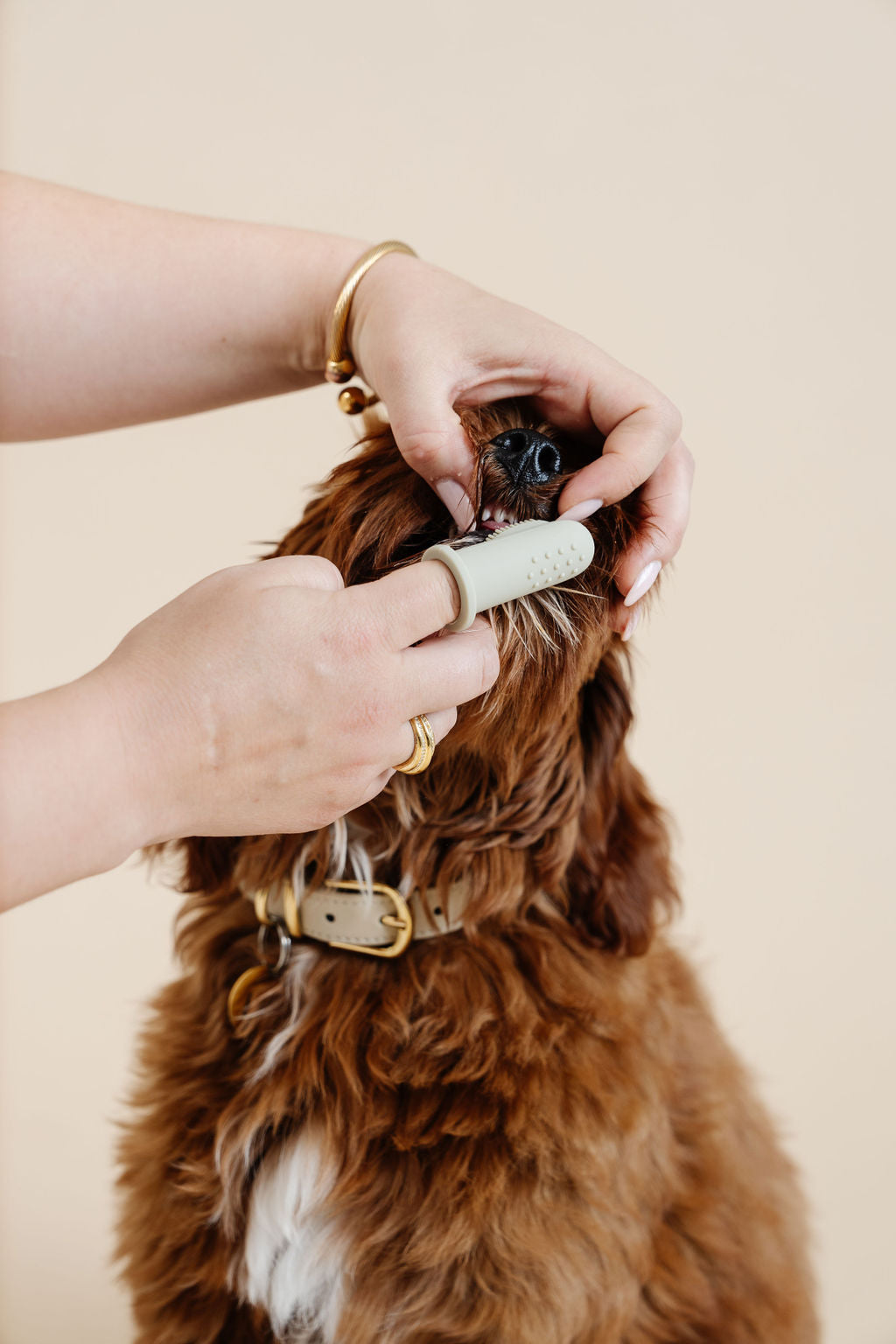 Puppy Breath Toothbrush (wholesale) Dog Supplies Pupwell
