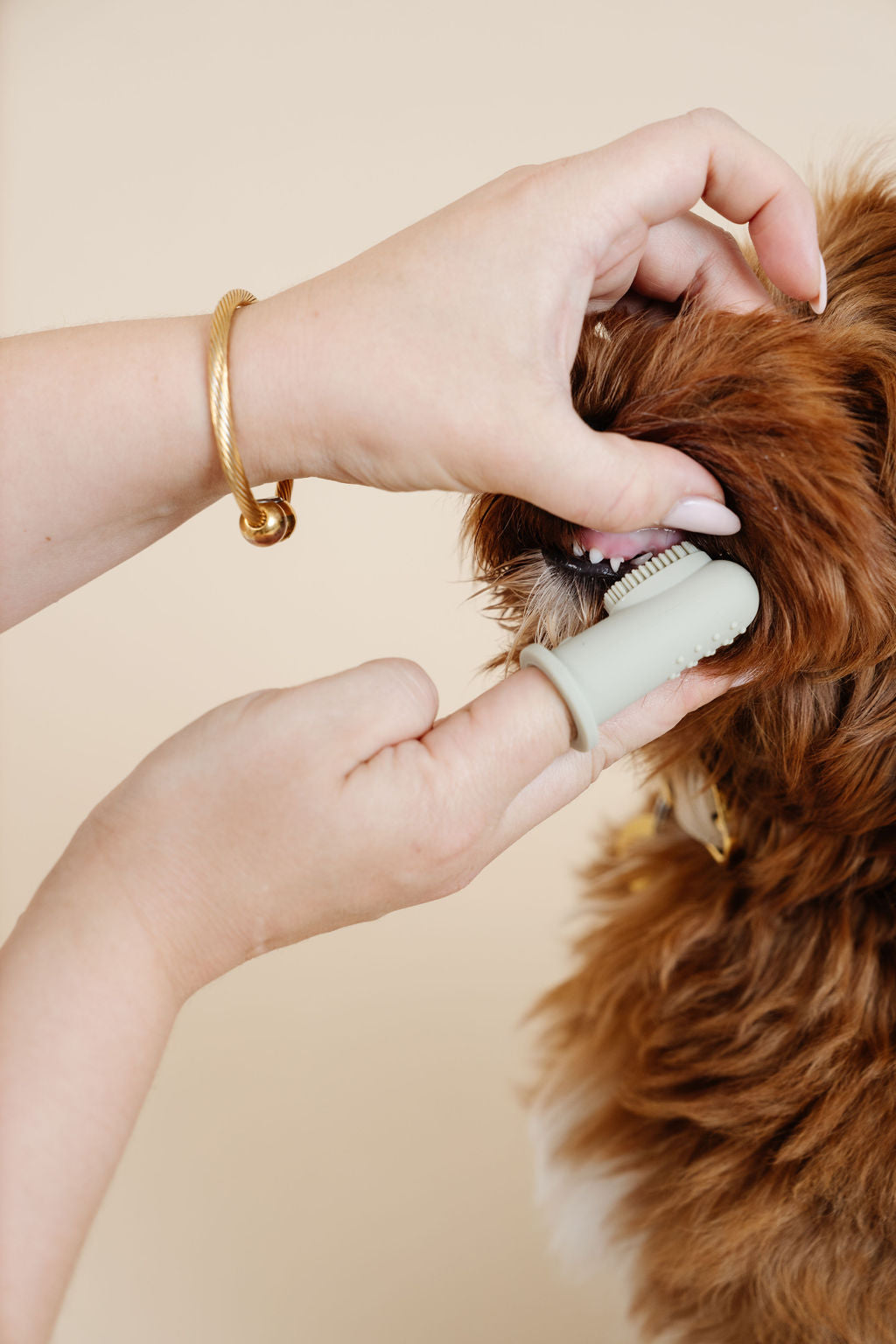 Puppy Breath Toothbrush (wholesale) Dog Supplies Pupwell