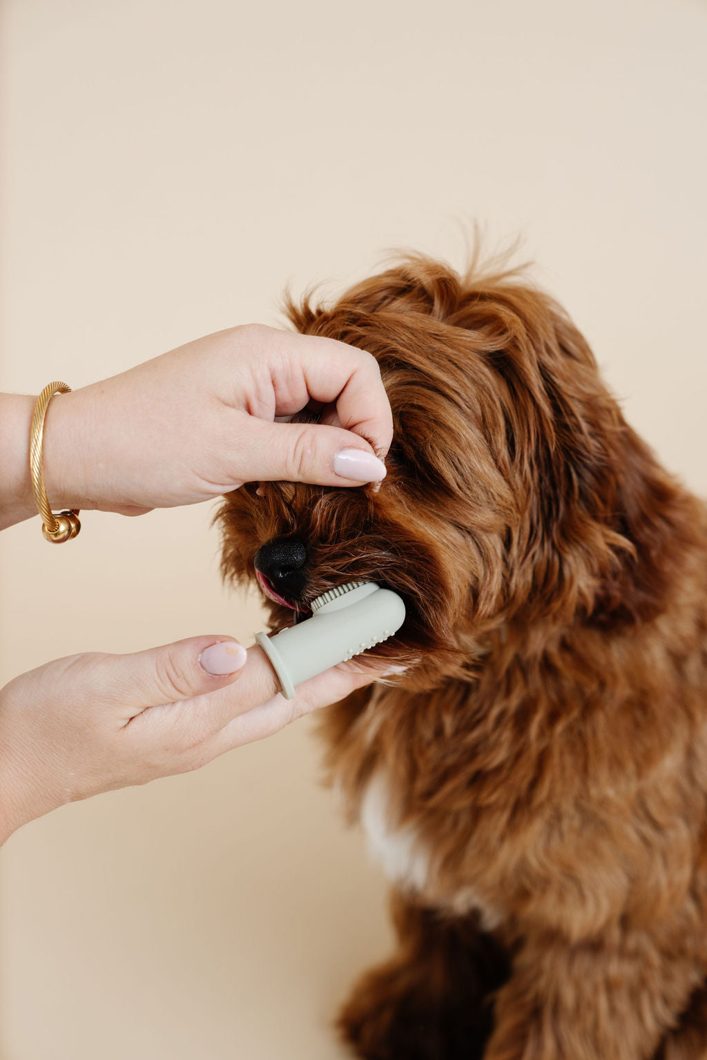 Puppy Breath Toothbrush (wholesale) Dog Supplies Pupwell