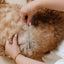 Everyday Comb (wholesale) Pupwell