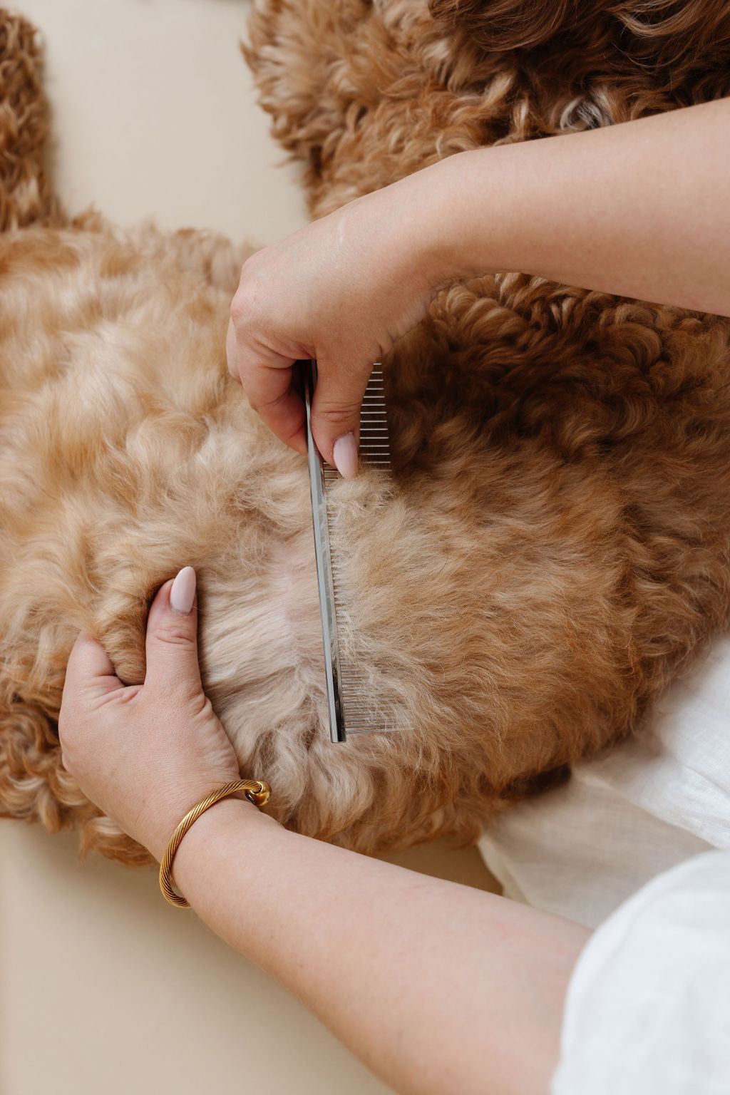 Everyday Comb (wholesale) Pupwell