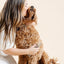 Everyday Comb (wholesale) Pupwell