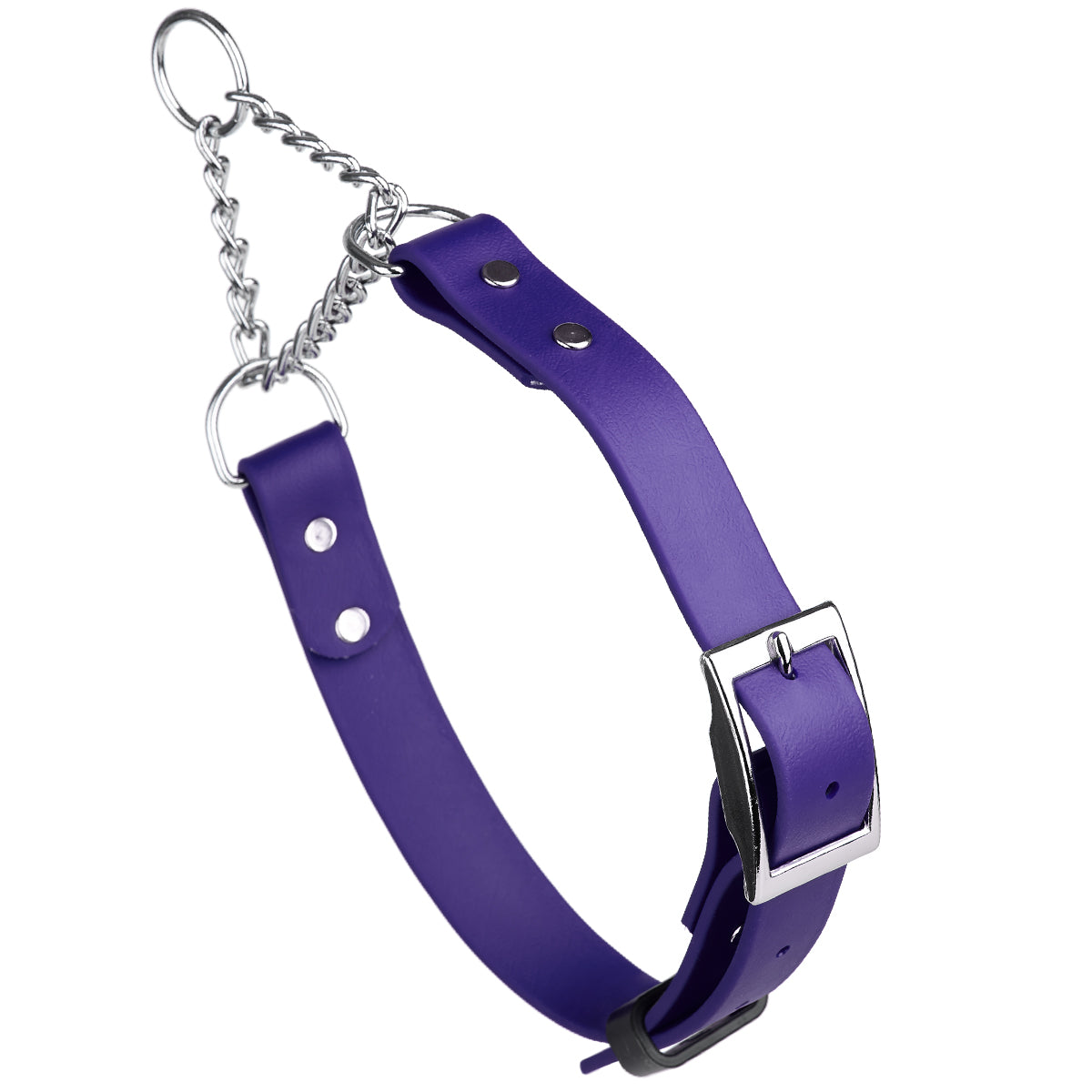 Biothane Adjustable Martingale Collar with Metal Buckle Violet Purple Dog Collars Dogline