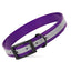 Biothane Translucent Reflective Dog Collar Purple Dog Collars Dogline