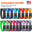 Dogline Biothane Waterproof Dog Collar with Quick Release Buckle Dog Collars Dogline