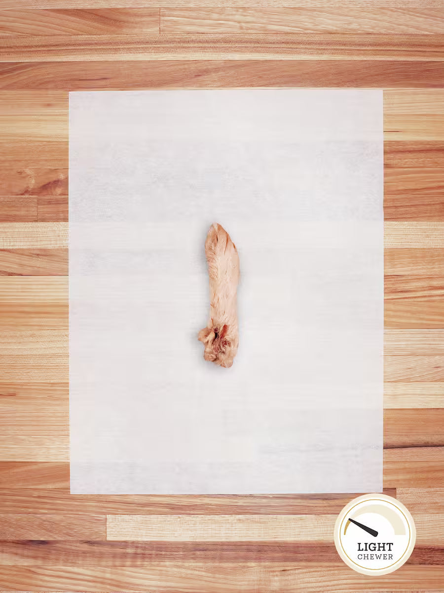 Rabbit Chews & Hides (Hairy) Back Foot - Large Chews Farm Hounds
