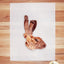 Rabbit Chews & Hides (Hairy) Head with Ears Chews Farm Hounds