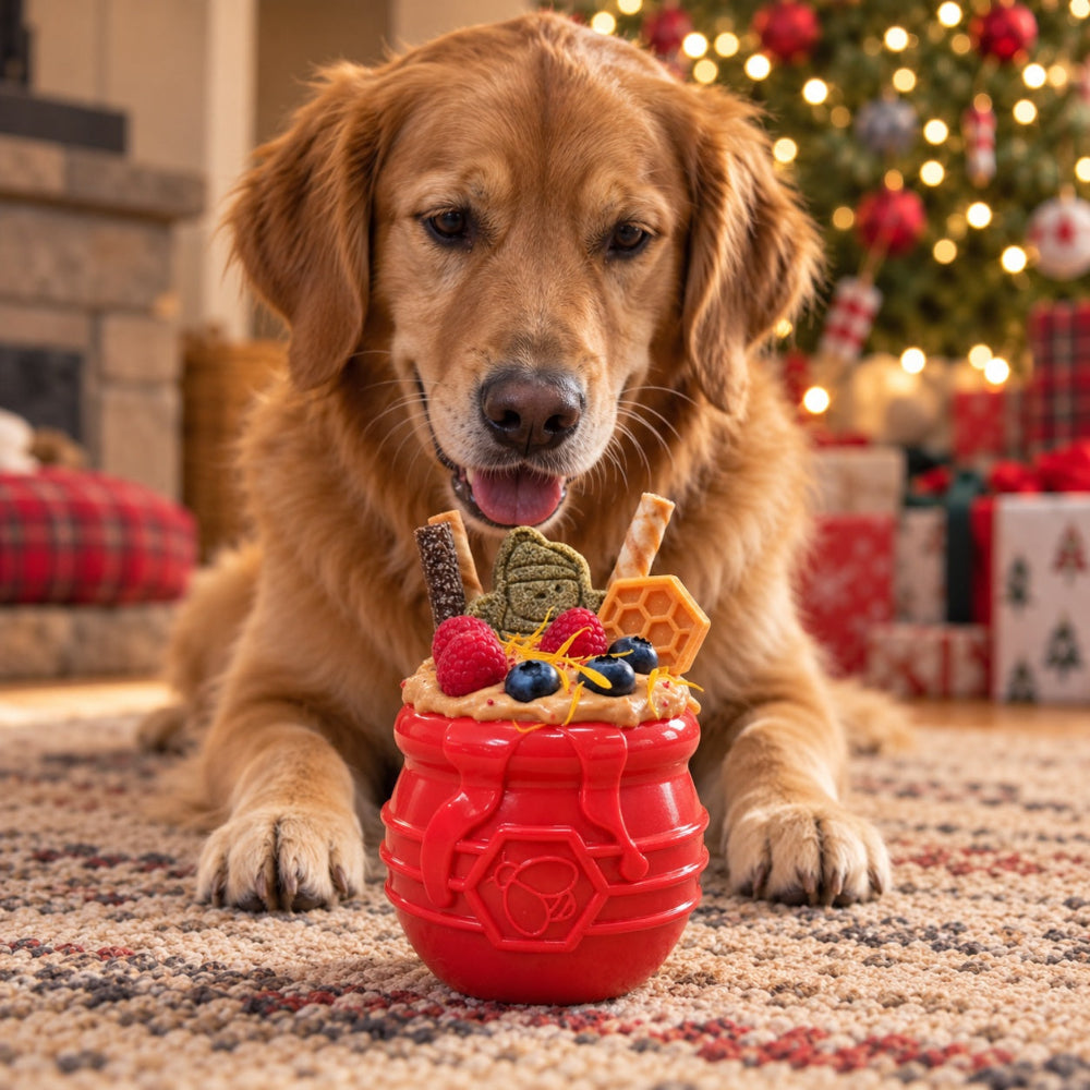 Honey Pot Dog eCup Treat Dispenser | Durable PUP-X Rubber Enrichment Toy | USA Made Rubber Dog Toys SodaPup/True Dogs, LLC