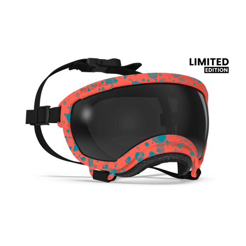 Rex Specs - Goggles for Dogs - V2 Coral Reef Extra small Dog Eye Protection Rex Specs