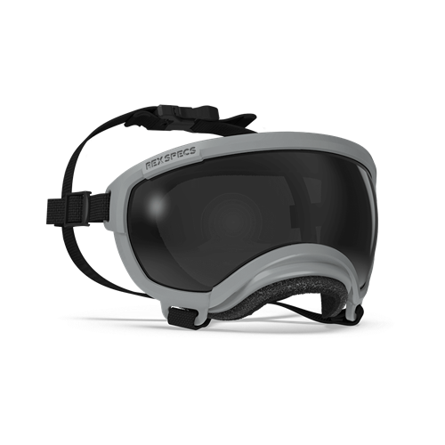 Rex Specs - Goggles for Dogs - V2 Gallatin Grey Dog Eye Protection Rex Specs