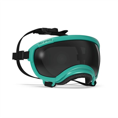 Rex Specs - Goggles for Dogs - V2 Tazer Teal Extra small Dog Eye Protection Rex Specs