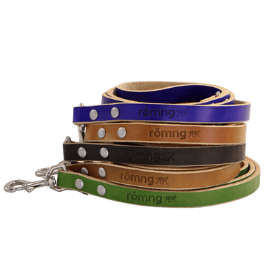 handmade leather dog leash Dog Leashes rōmng