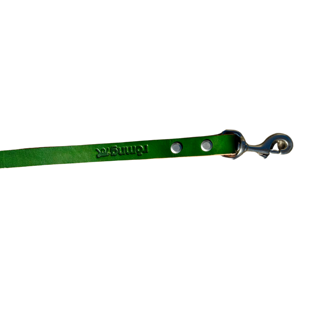 handmade leather dog leash Dog Leashes rōmng