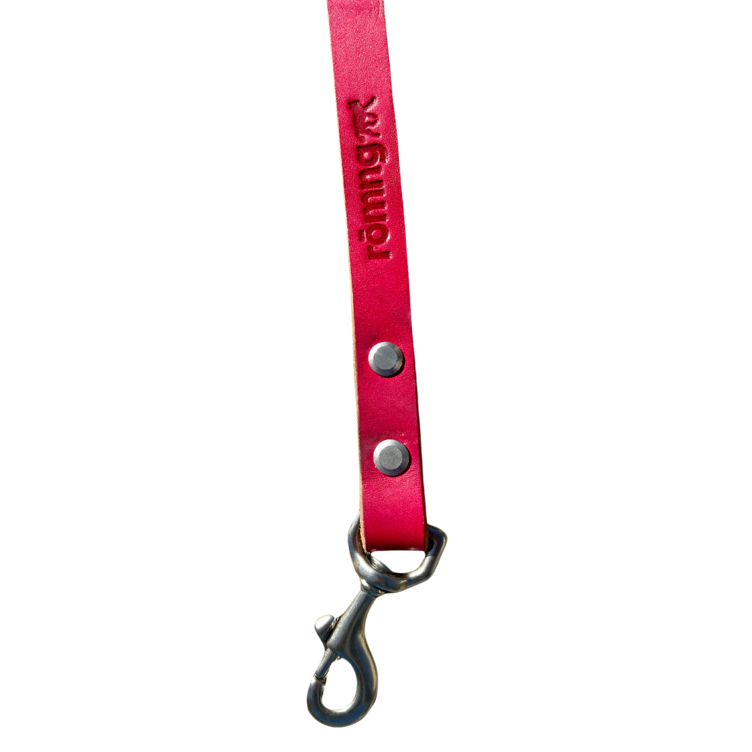 handmade leather dog leash Dog Leashes rōmng