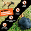 Rumble Rope Ball Monster K9 Dog Toys