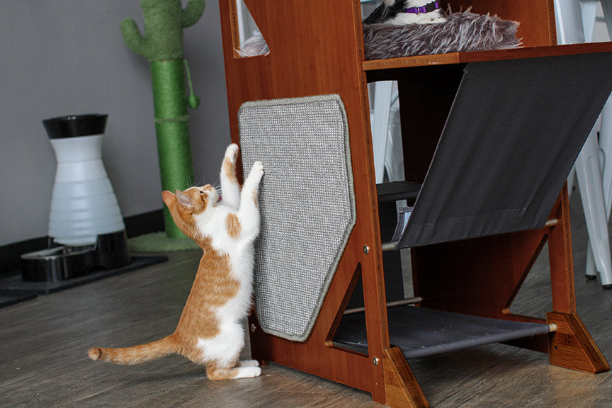 The Overlook - Sturdy - Bamboo Cat Tree Cat Condo Catastrophic Creations