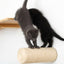 Floating Cat Step for Wall Cat Scratcher Catastrophic Creations