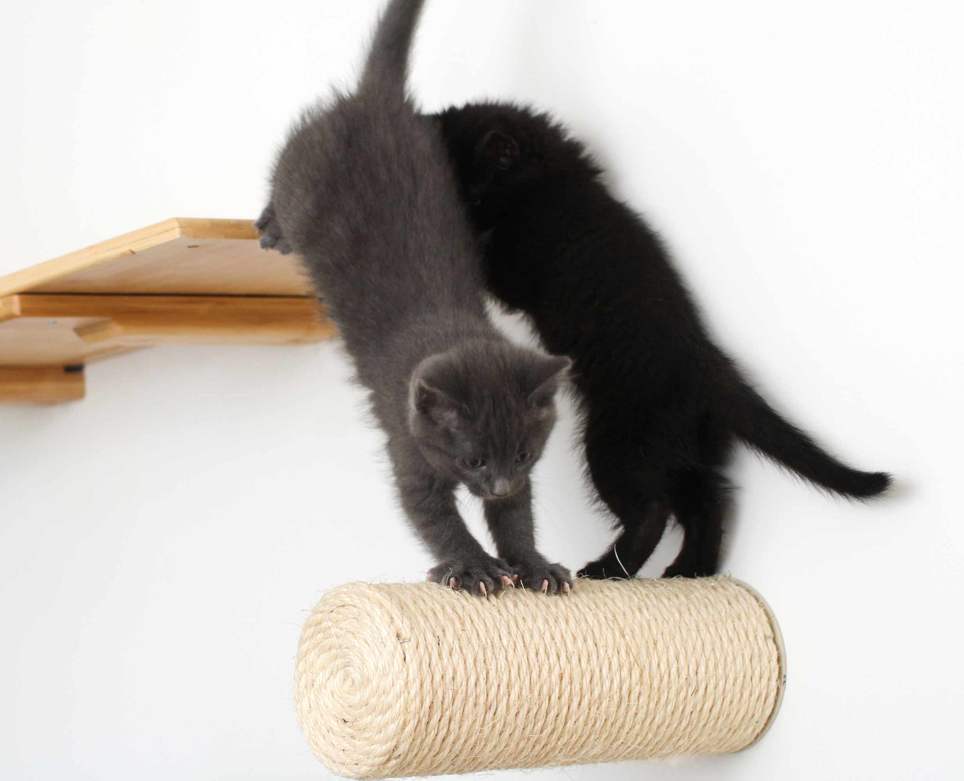 Floating Cat Step for Wall Cat Scratcher Catastrophic Creations
