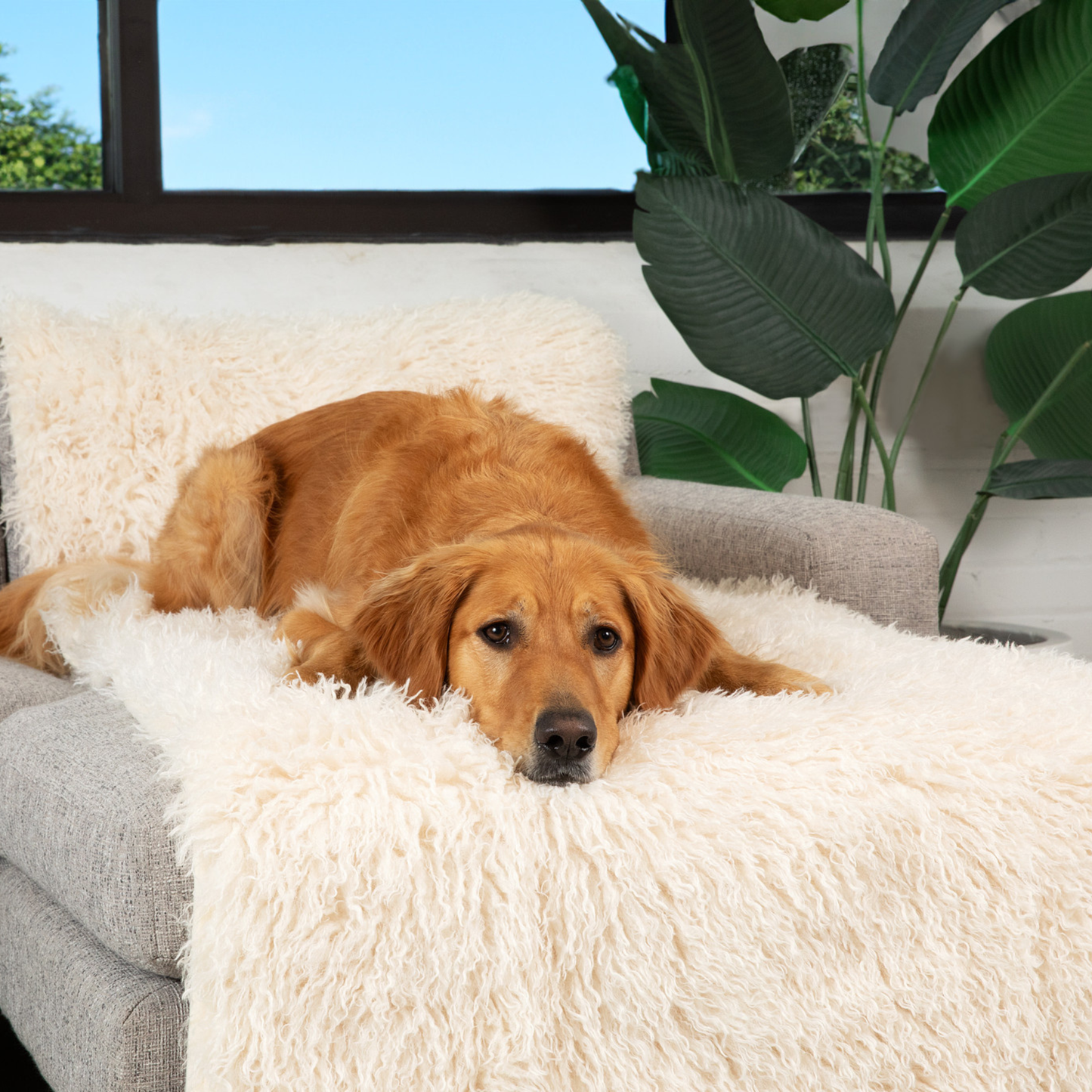 PupProtector™ Luxe Waterproof Bed Runner - Plush Sheep Ivory Dog Blanket Paw