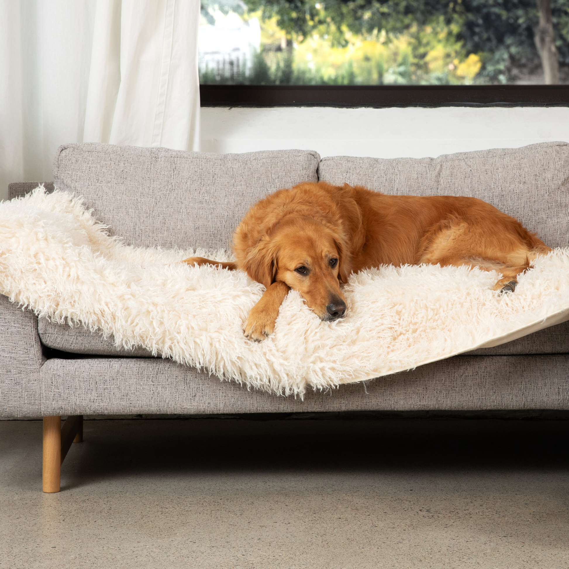 PupProtector™ Luxe Waterproof Bed Runner - Plush Sheep Ivory Dog Blanket Paw