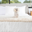 PupProtector™ Luxe Waterproof Bed Runner - Plush Sheep Ivory Dog Blanket Paw