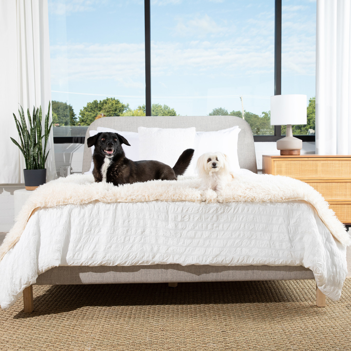 PupProtector™ Luxe Waterproof Bed Runner - Plush Sheep Ivory Dog Blanket Paw