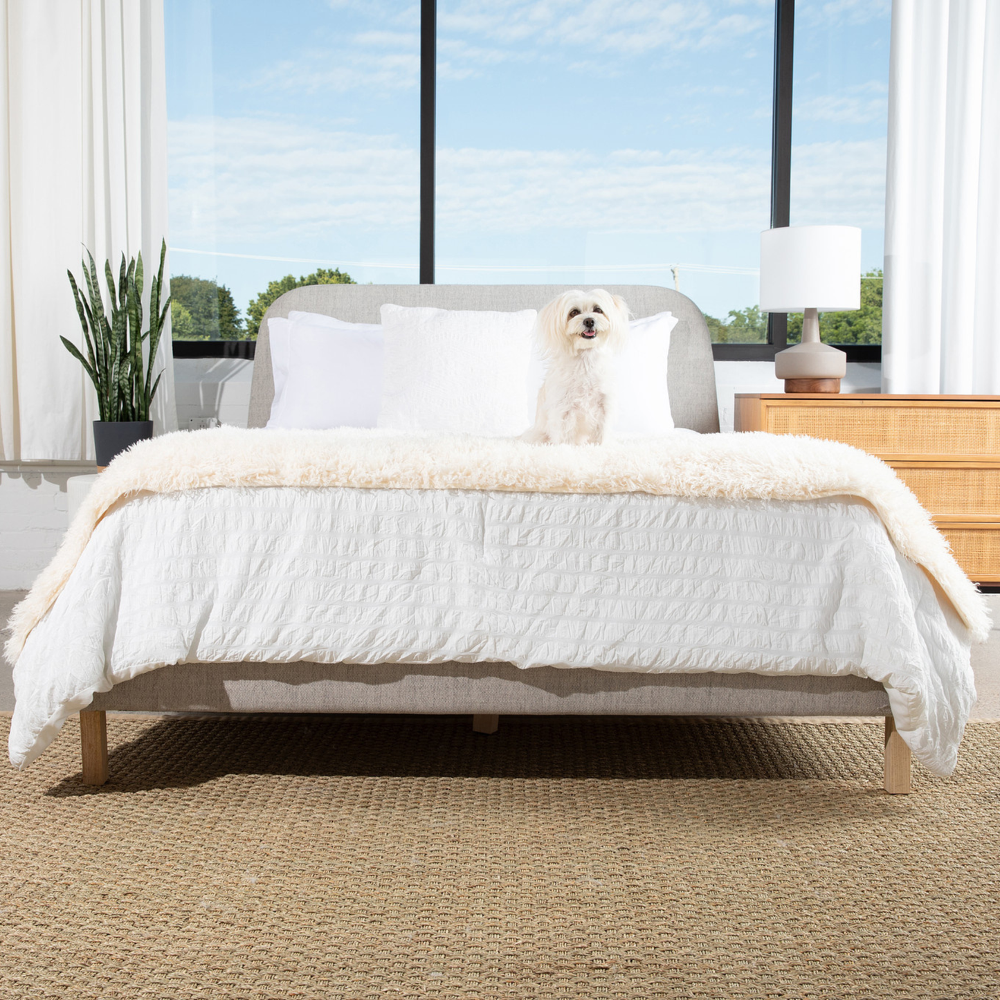 PupProtector™ Luxe Waterproof Bed Runner - Plush Sheep Ivory Dog Blanket Paw