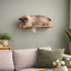 Wall Mounted Cat Shelf Cat shelves/bed Catastrophic Creations