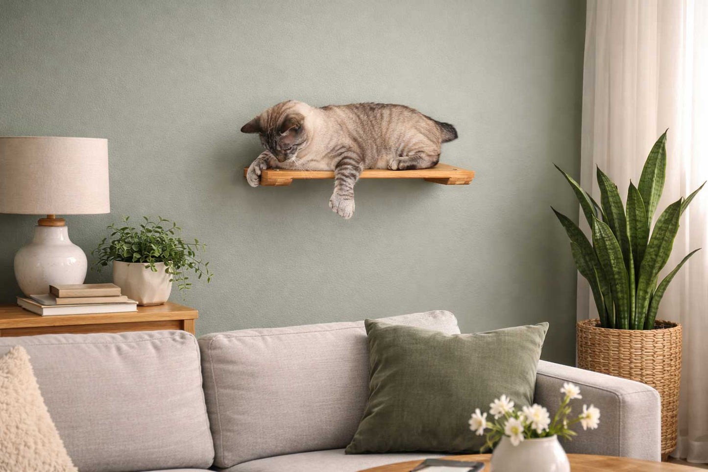 Wall Mounted Cat Shelf Cat shelves/bed Catastrophic Creations