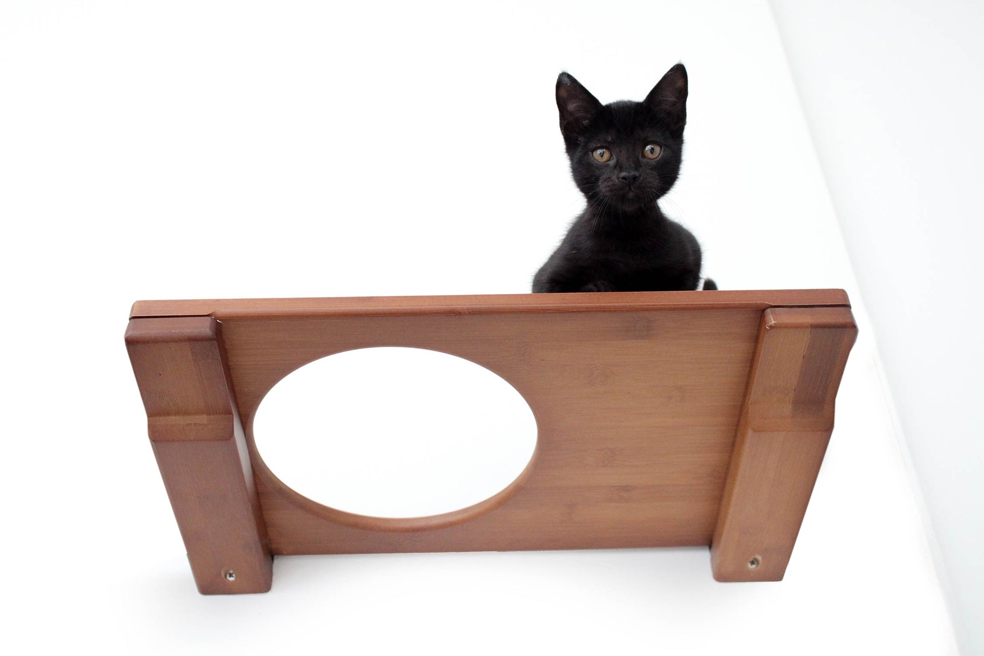 Wall Mounted Cat Shelf Cat shelves/bed Catastrophic Creations