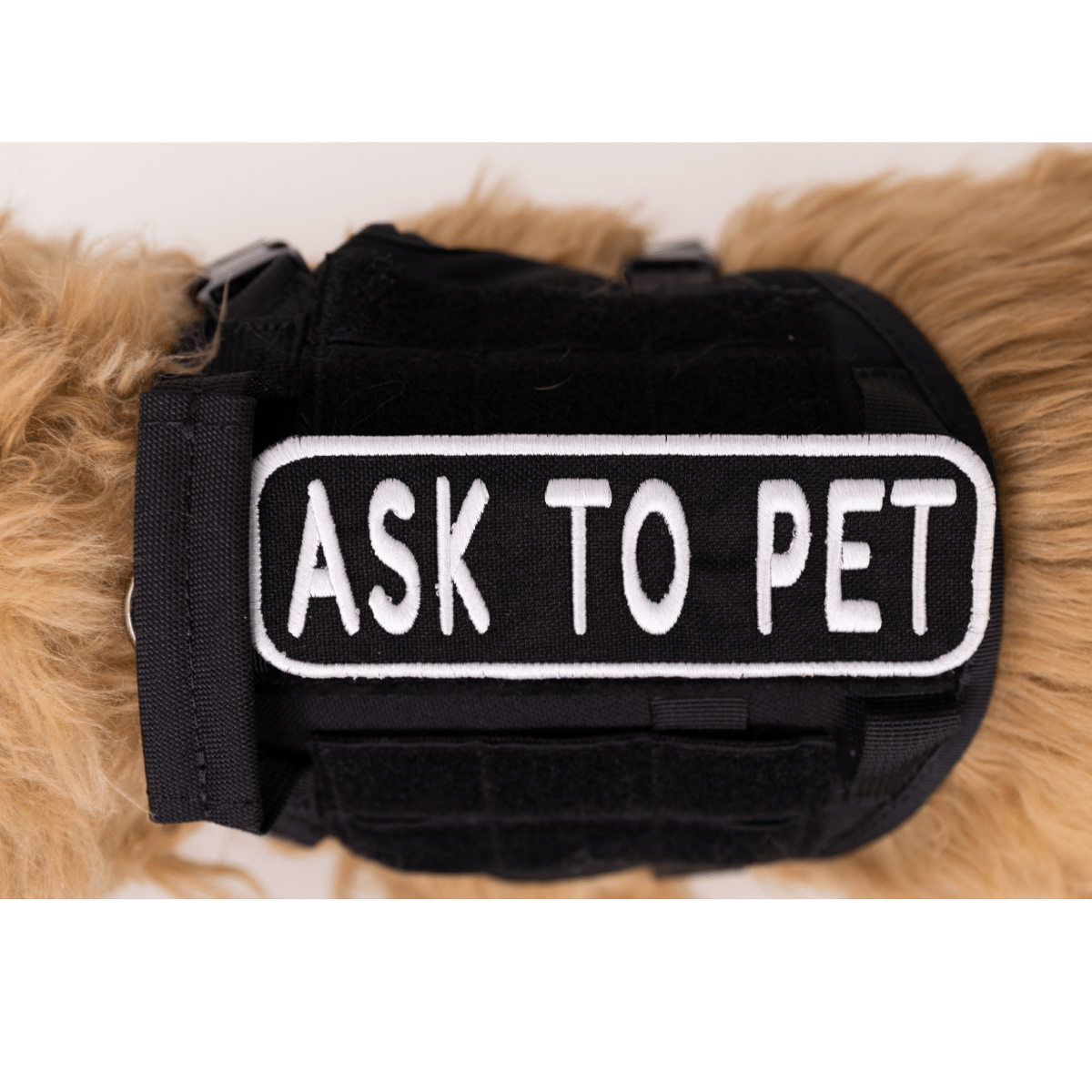 Ask to Pet 2x6 Patch Hook & Loop Black & White Patch K9 Sport Sack