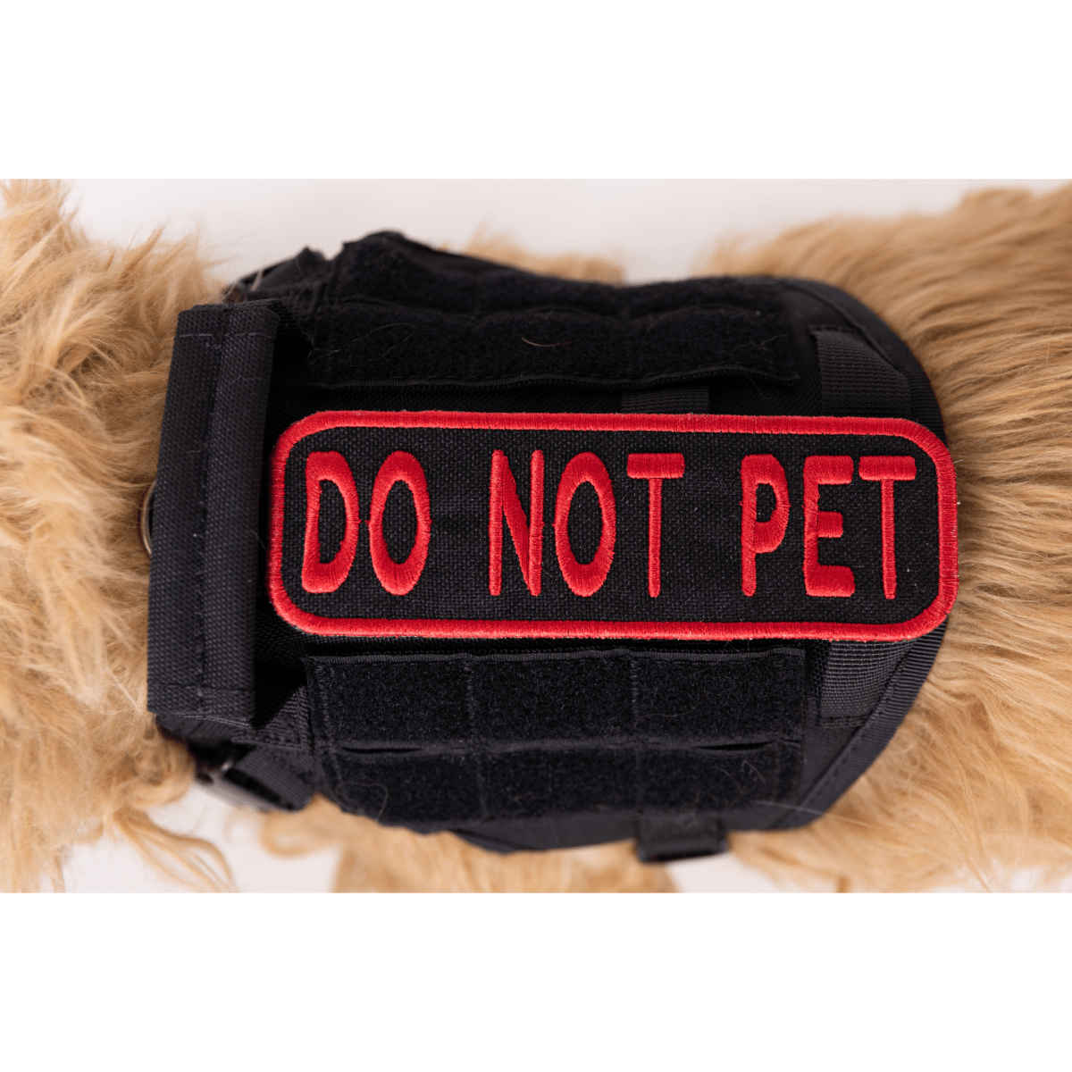 Do Not Pet 2x6 Patch Patch K9 Sport Sack
