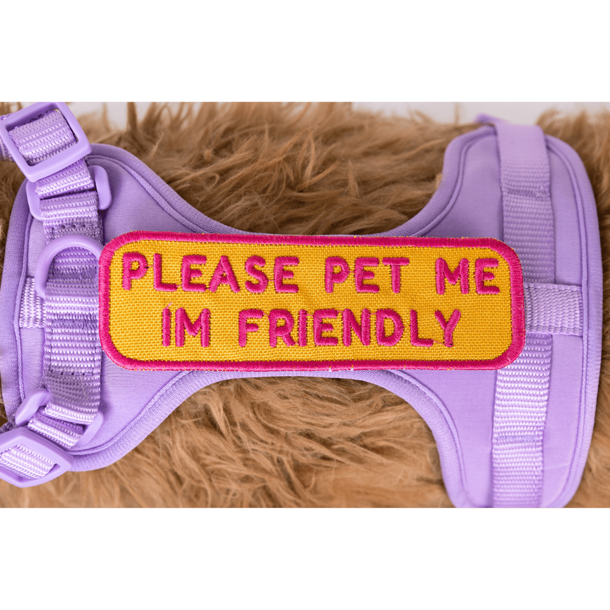 Please Pet Me Patch K9 Sport Sack