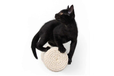 Floating Cat Step for Wall Cat Scratcher Catastrophic Creations